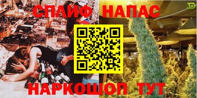 СК Новокубанск