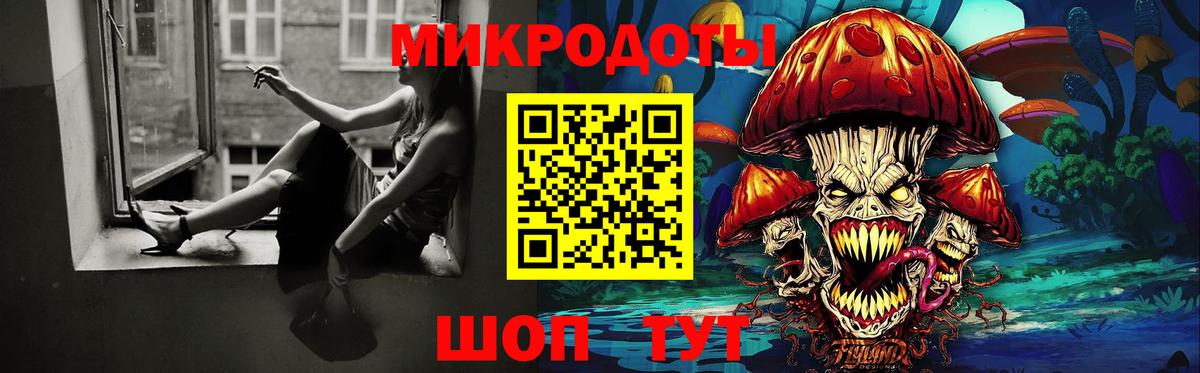 Псилоцибиновые грибы Cubensis Сунжа